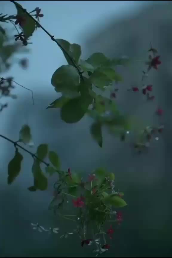 @NikeshKrishna.