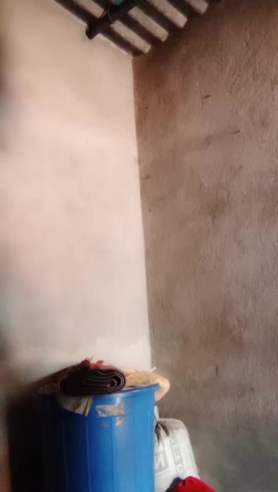 @user9055086374329