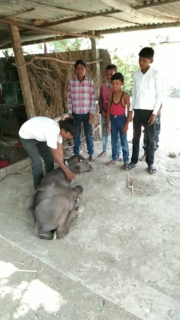 @Dnyaneshwar barse