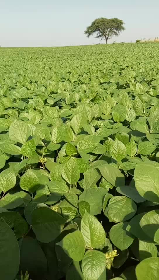 @Deepesh Yadav Ahir