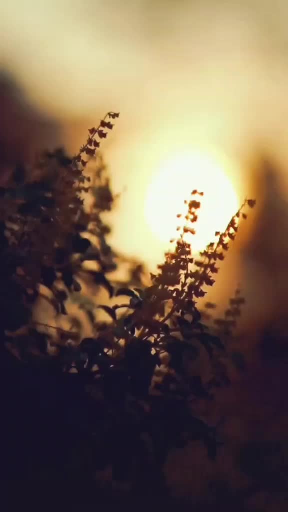 @CHIN2VENKY ✪