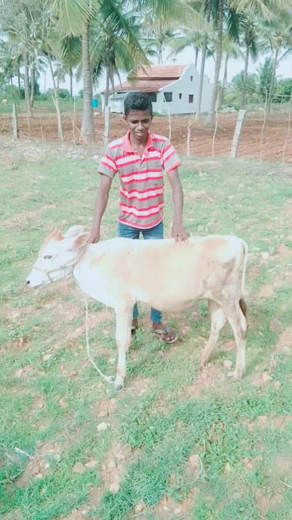 @❤ಭೂಮಿ🌍ಪುತ್ರ😍G.G🔥