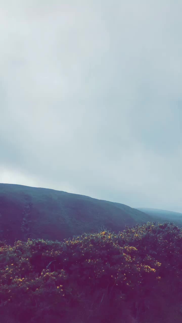 @NMiah786