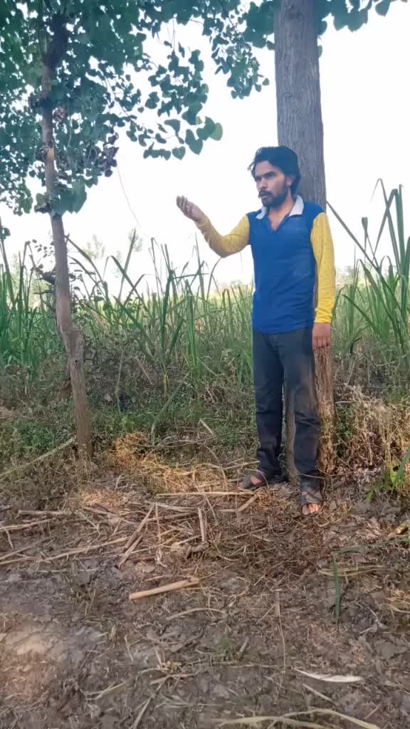 @Ak G