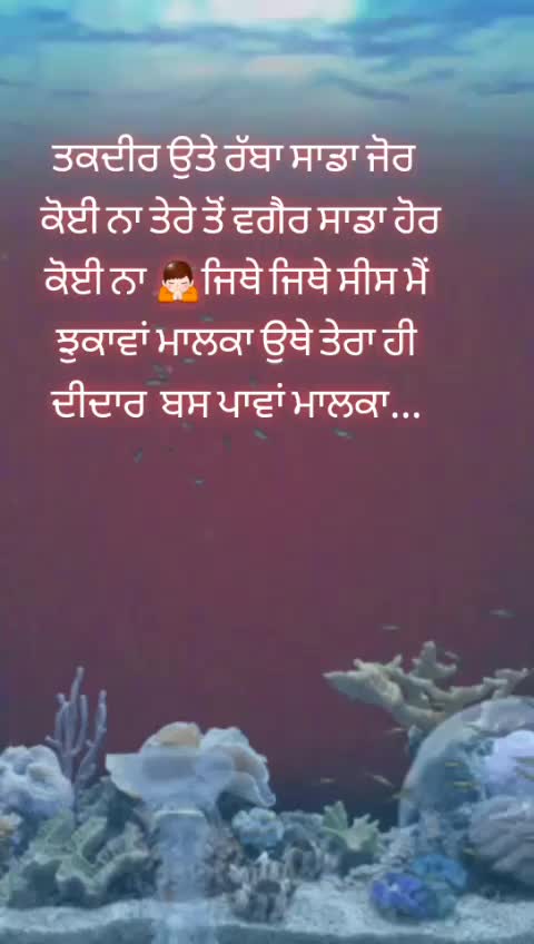 @Tera Guri