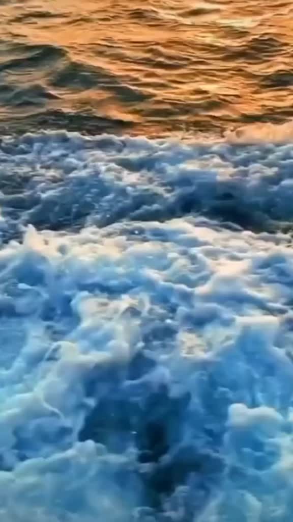 @Lp_0015