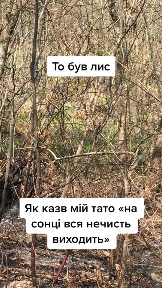 @Manera_01