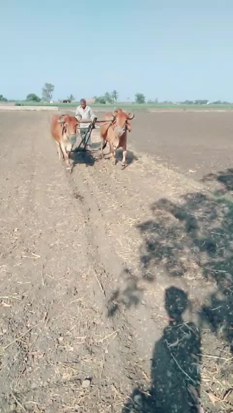 @Ravi__Aayar