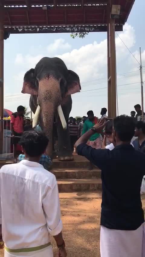 @Vaisakh M