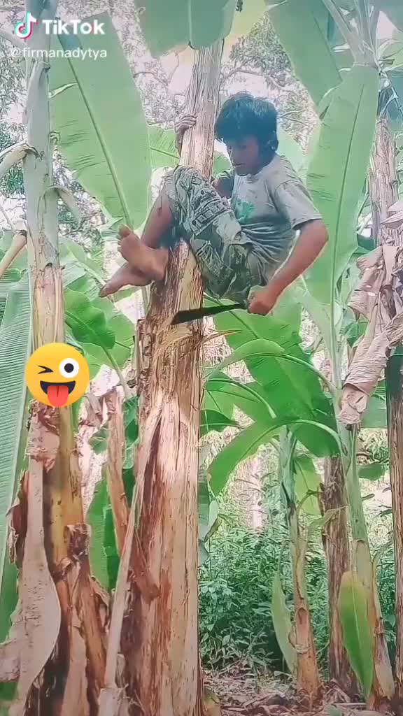 @Rohit vakh