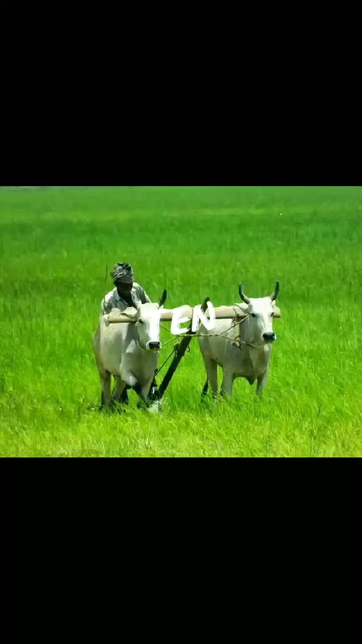 @me.cp