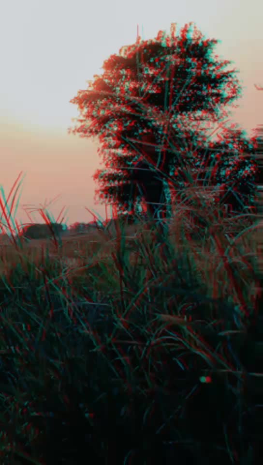 @karanvirk9090