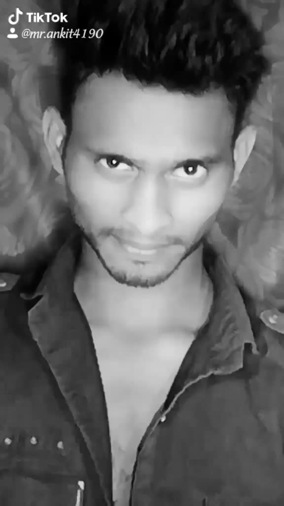 @bunny