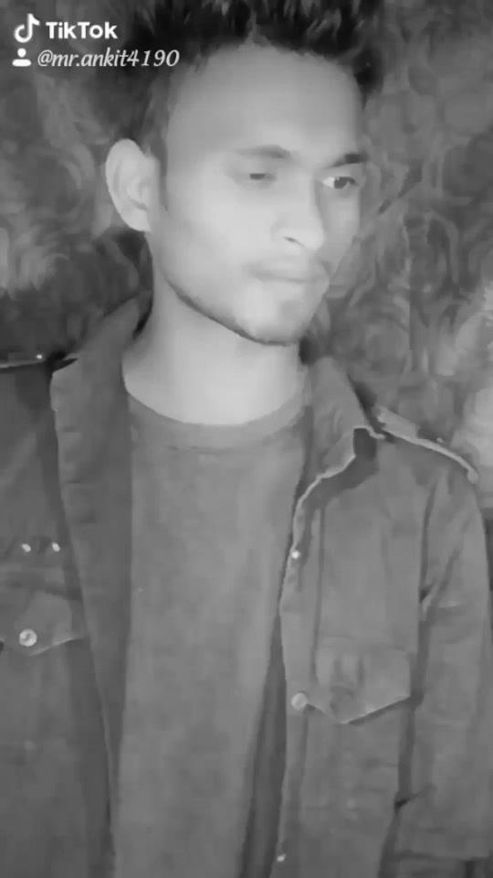 @bunny
