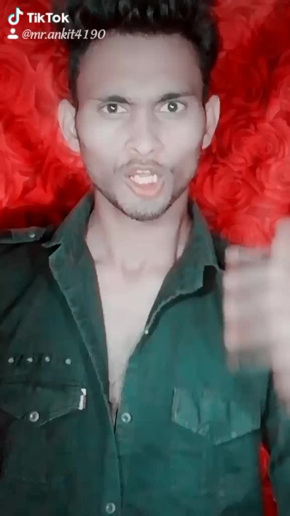 @bunny