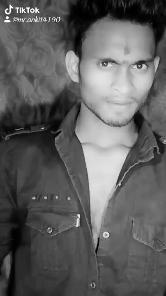 @bunny