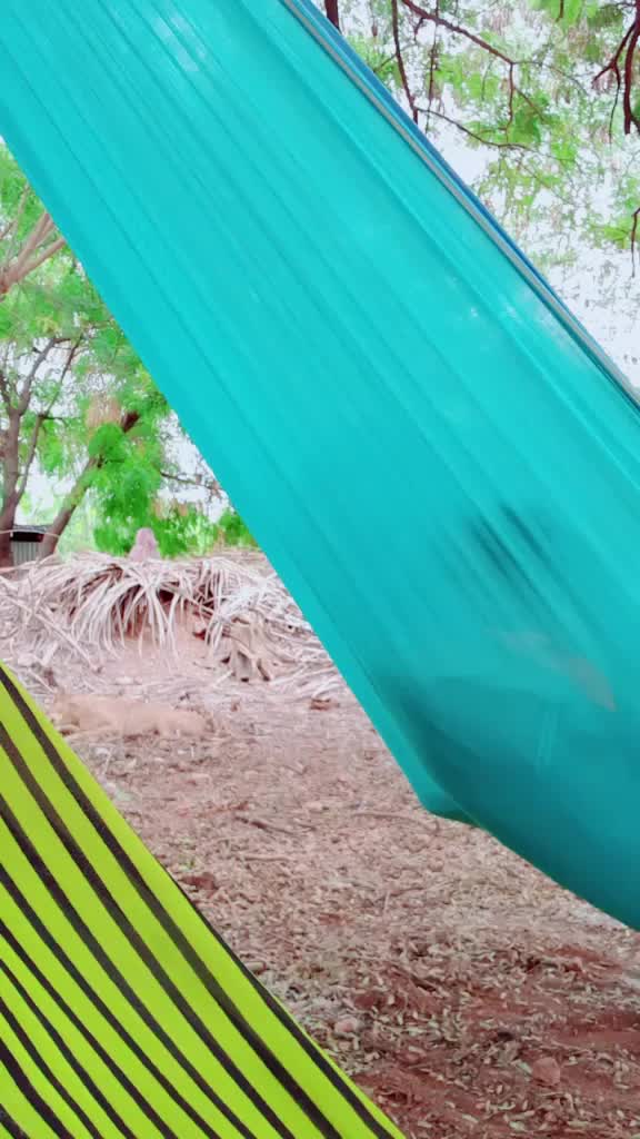 @Gullfiiii