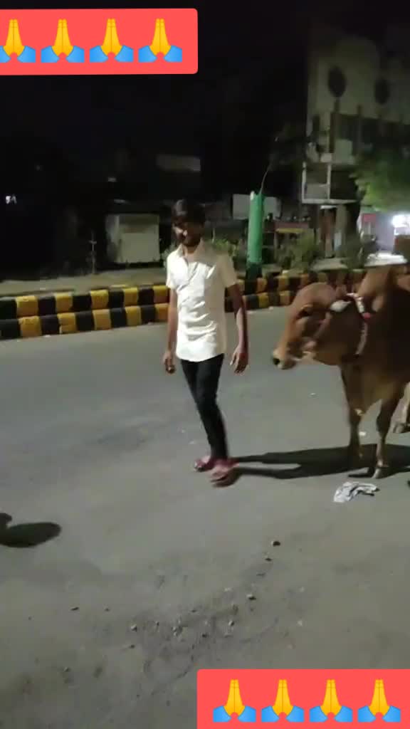 @jeelpatel97