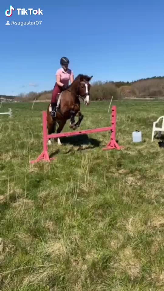 @&bull;Equestrians&bull;