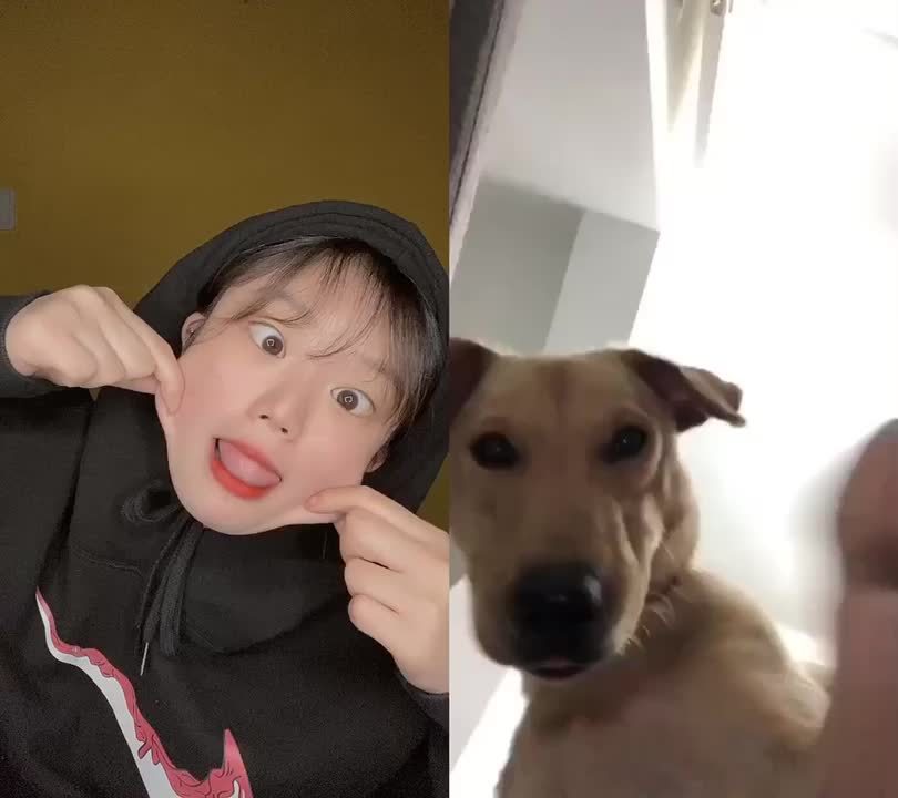 @쏘럽🦖