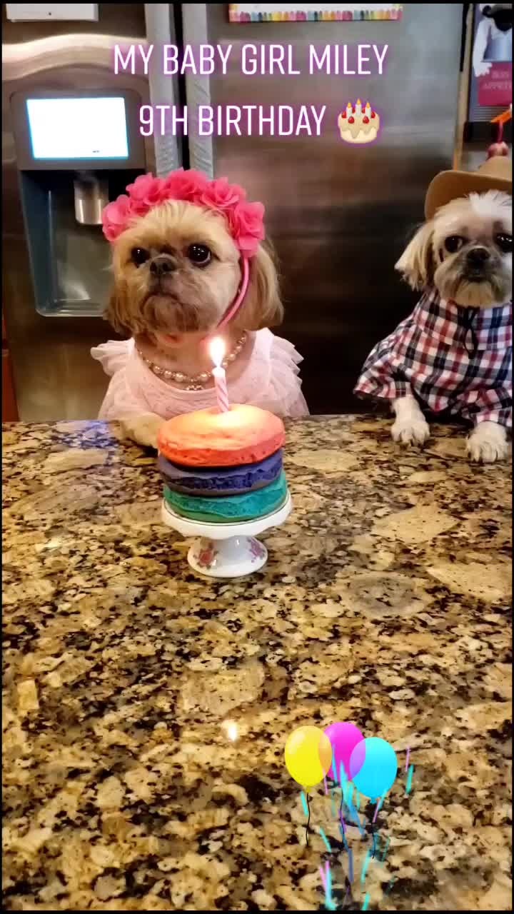 @peeweeandmiley