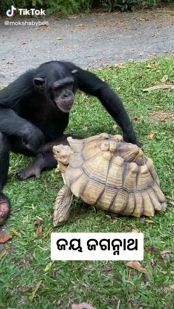 @BIKASH DAS