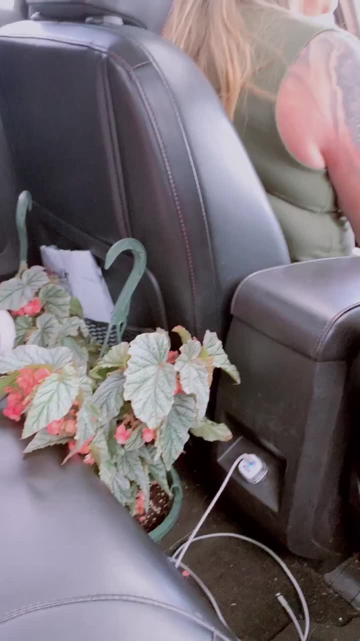 @cutie_putotie
