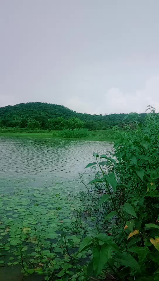 @KumarGobindan