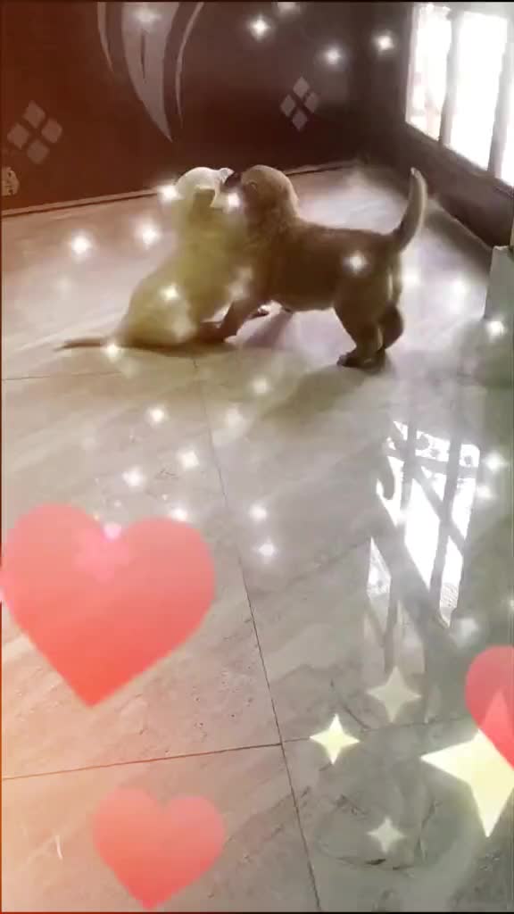 @Vaibhav🕺saxenA