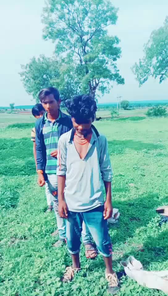 @banjara tigar