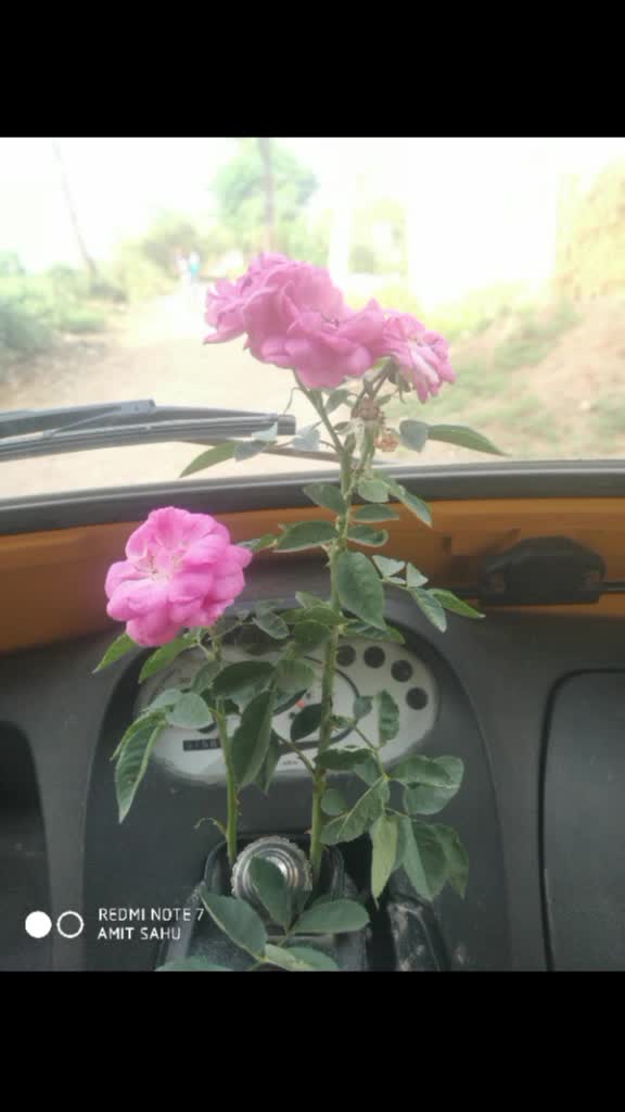 @Amit Ku Sahu