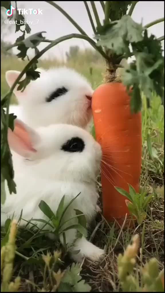 @user75176678123
