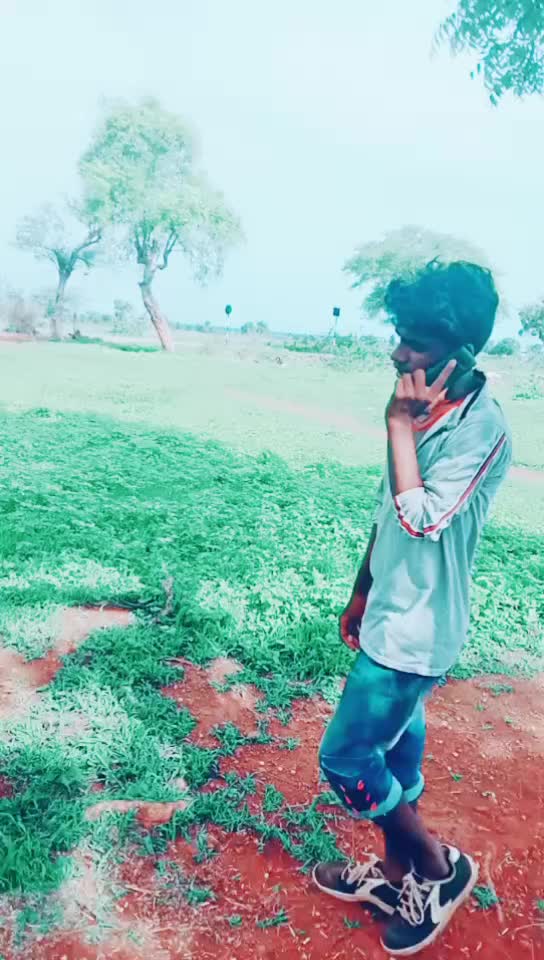 @banjara tigar