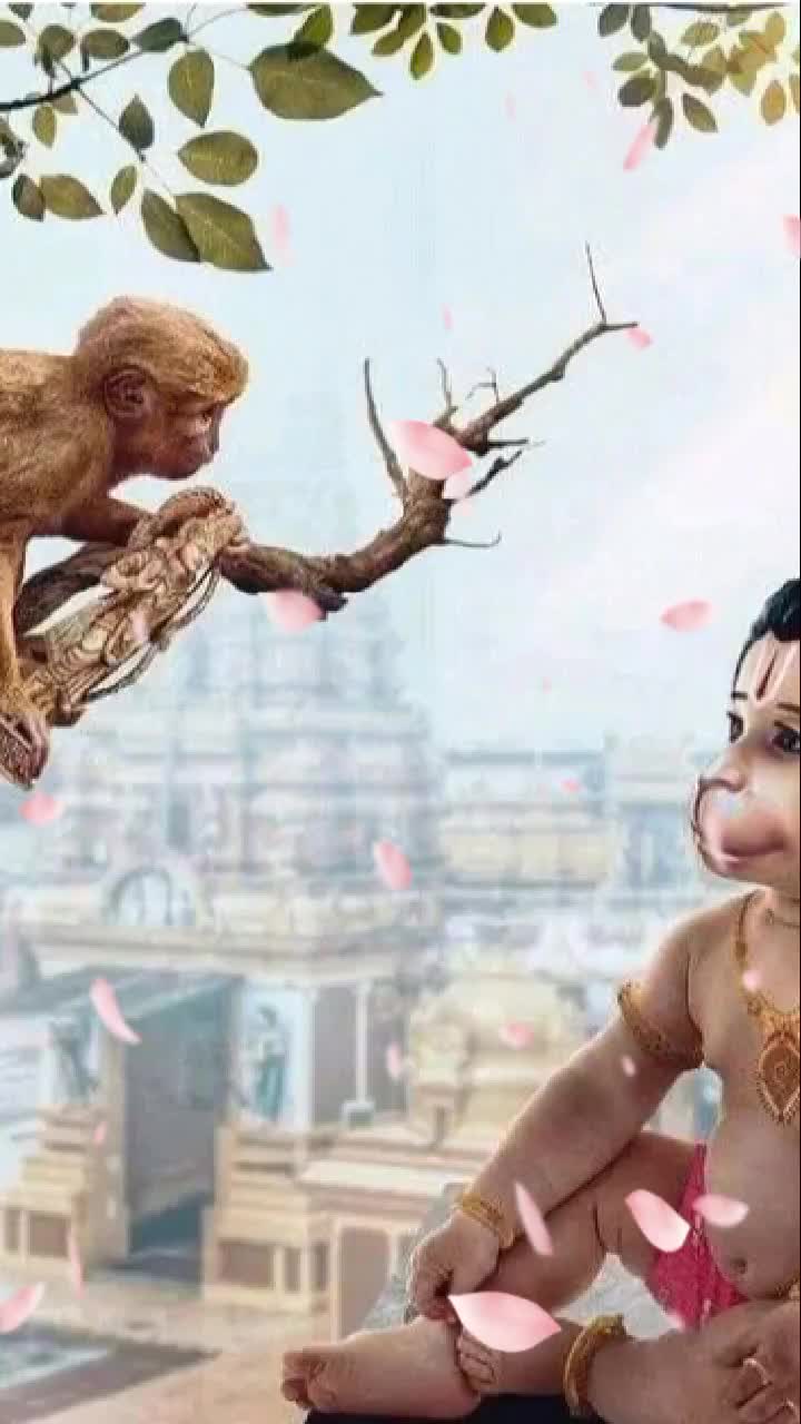 @mahi