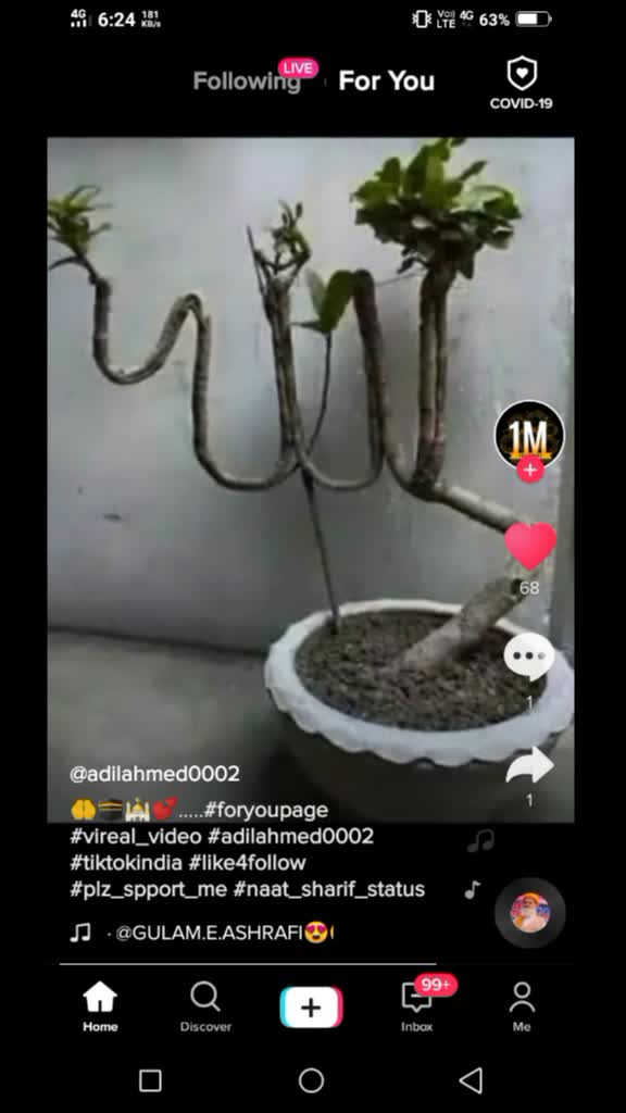 @akbor shaikh
