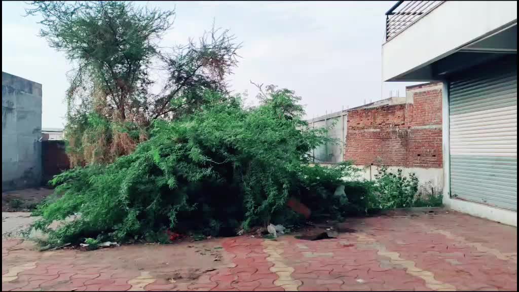 @Kiran jan_533625