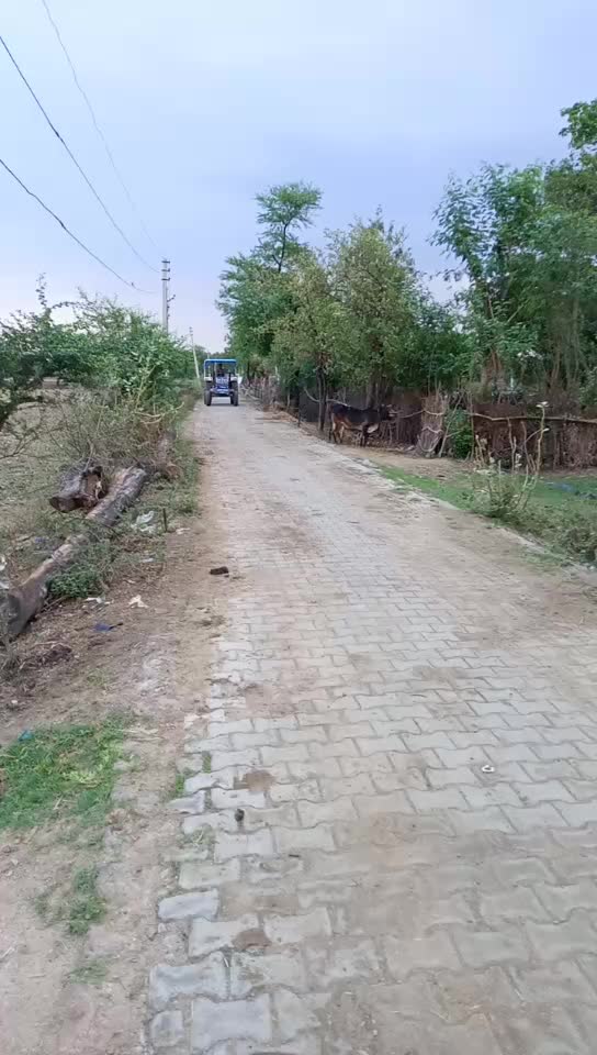 @Das Prajapati Deepch