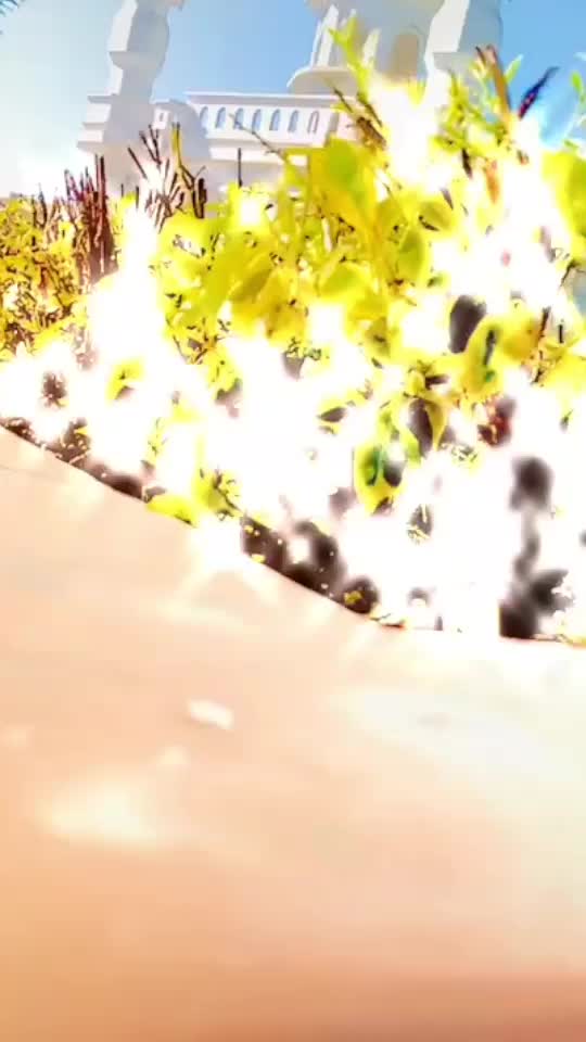 @niharika