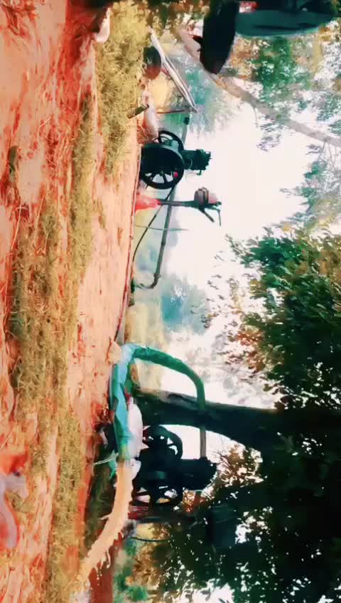 @Tik Toker