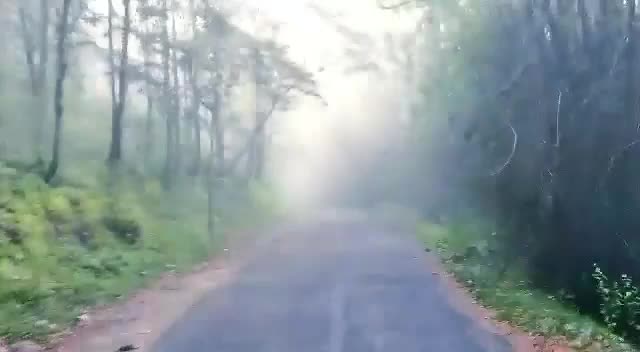 @JO____റാന്നിക്കാരന്&zwj;