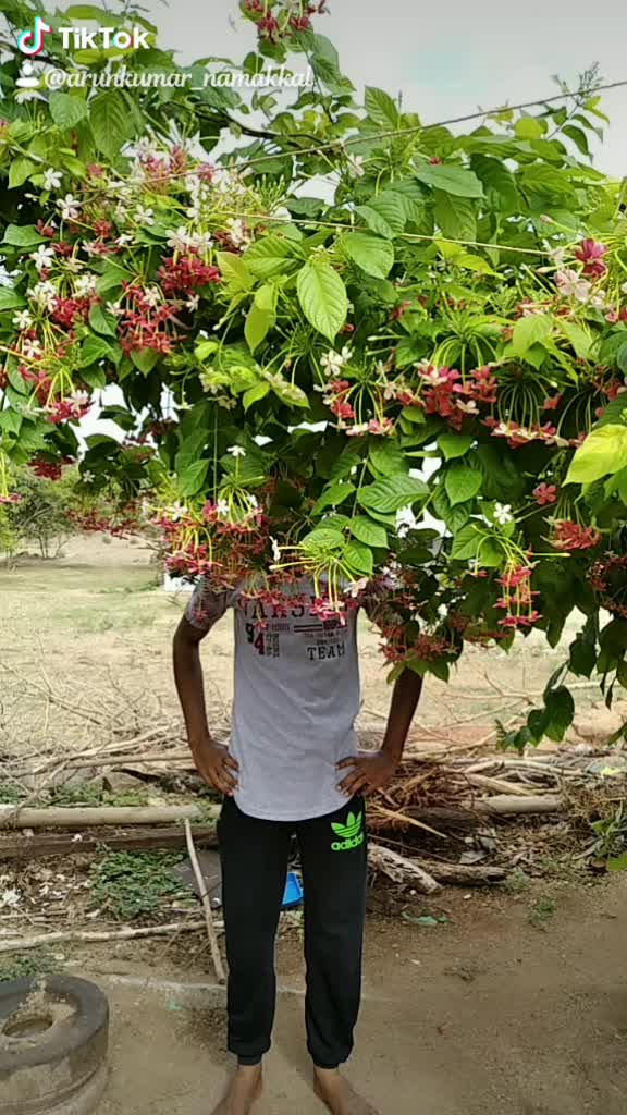 @Arunkumar