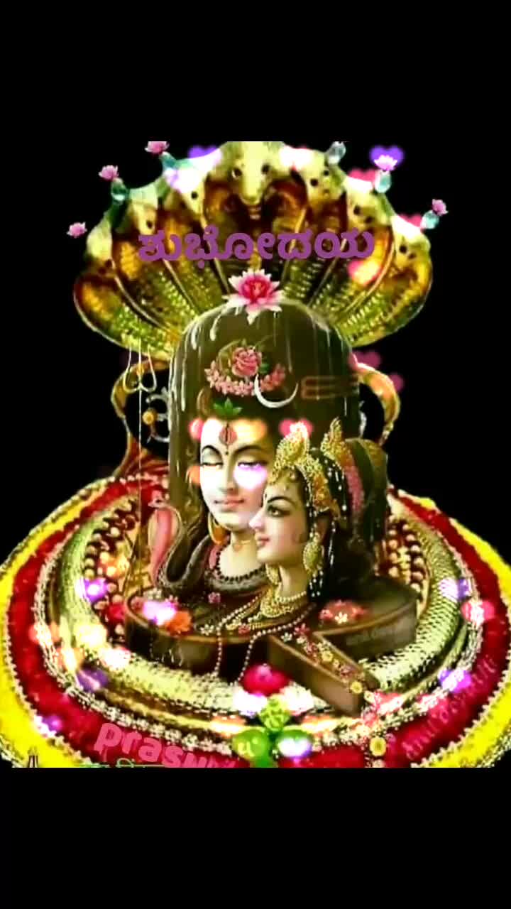 @user5108462079441