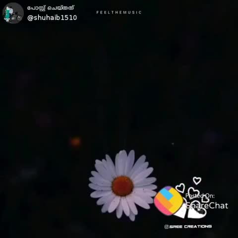@aadhi saranya sajith