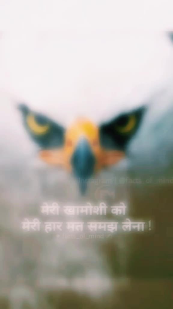 @Harshad Chavda 13
