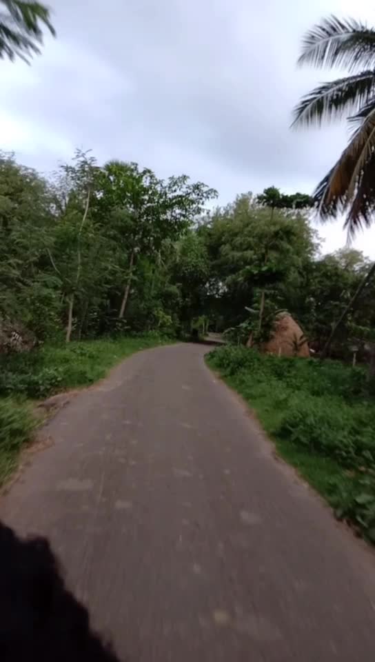 @rishilokesh