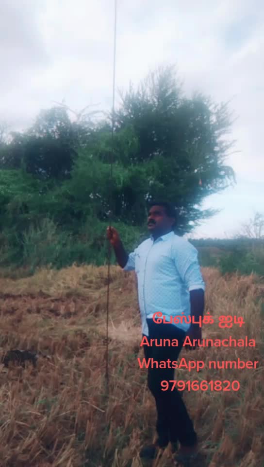 @nellai arunachalam