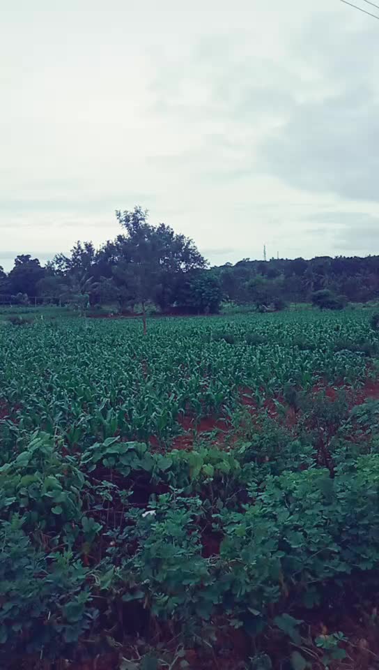 @Santhosh