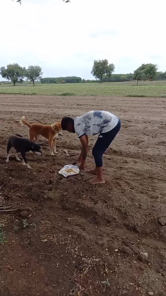 @Samadhan Rajput