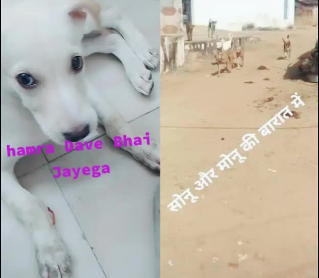 @Subham Rajput