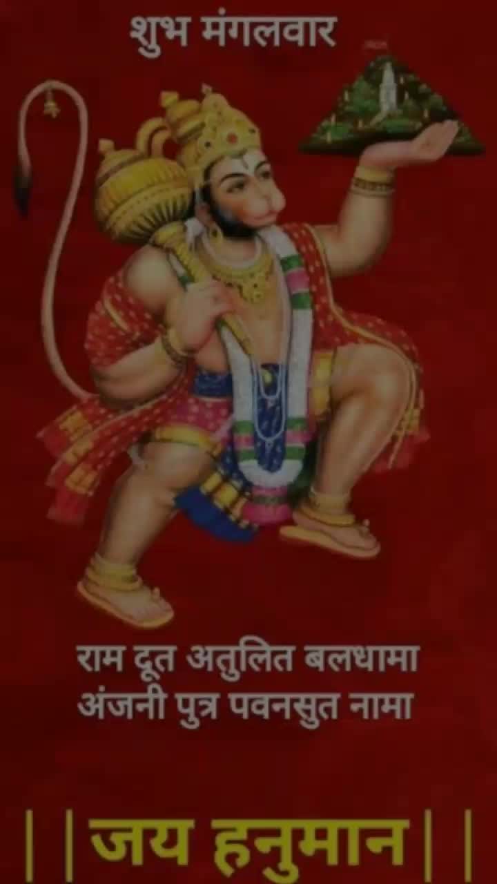 @rinkumehta20